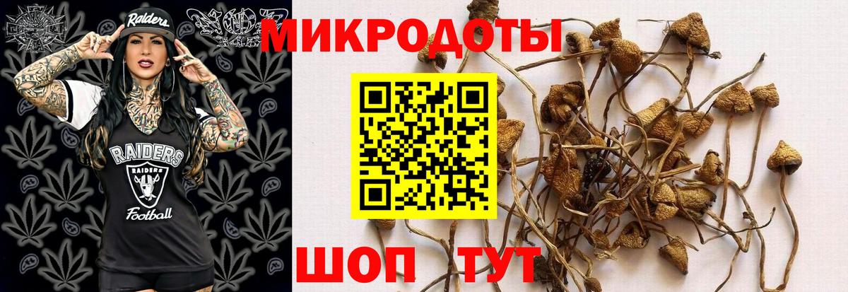 Галлюциногенные грибы GOLDEN TEACHER Реутов