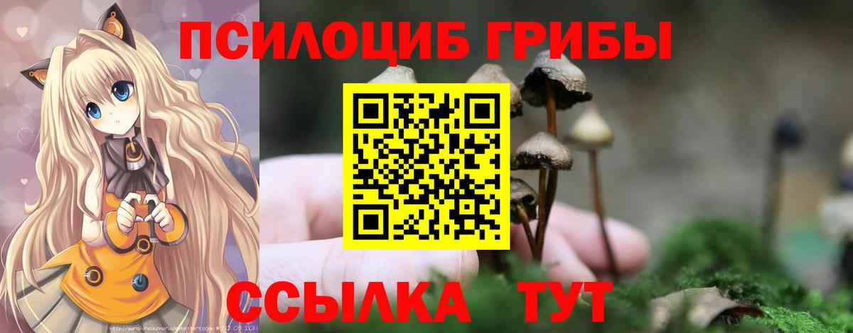 Галлюциногенные грибы GOLDEN TEACHER  Вход с VPN  Псилоцибиновые грибы прущие грибы  Реутов 